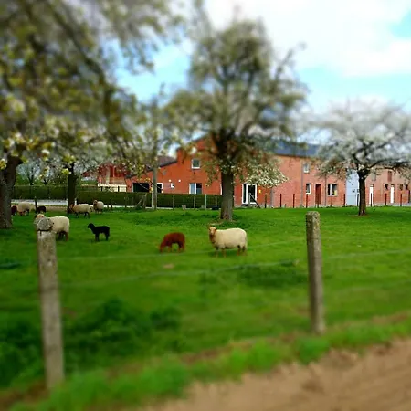 De Smishoeve Met Kinderpret, Dieren En Wellness